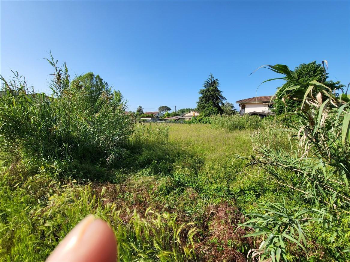 immagine annuncio 2 di 9