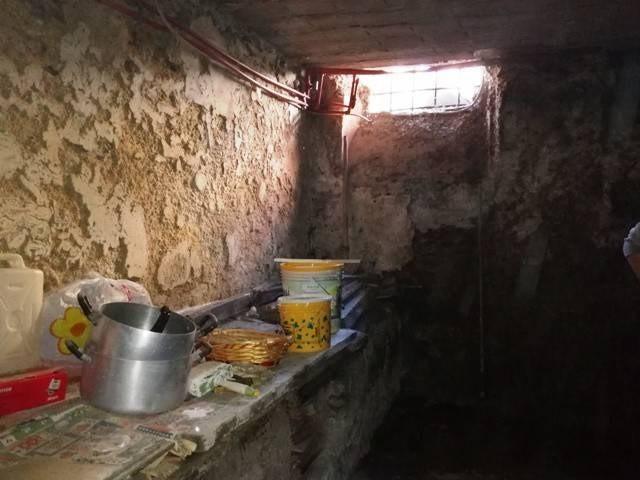 immagine annuncio 11 di 14