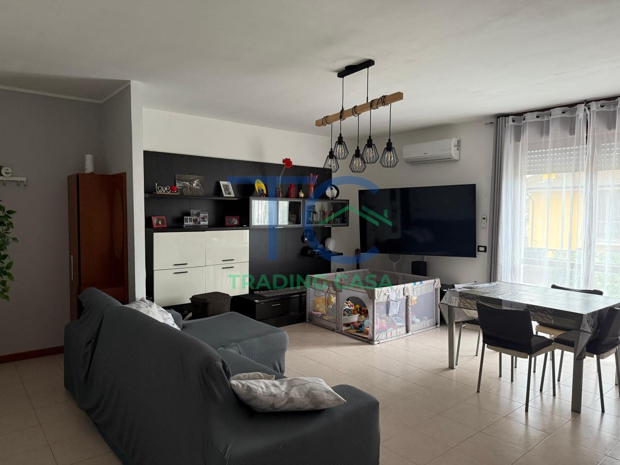 immagine annuncio 2 di 14