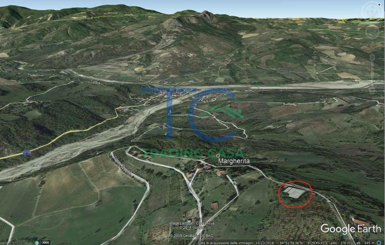 immagine annuncio 6 di 14