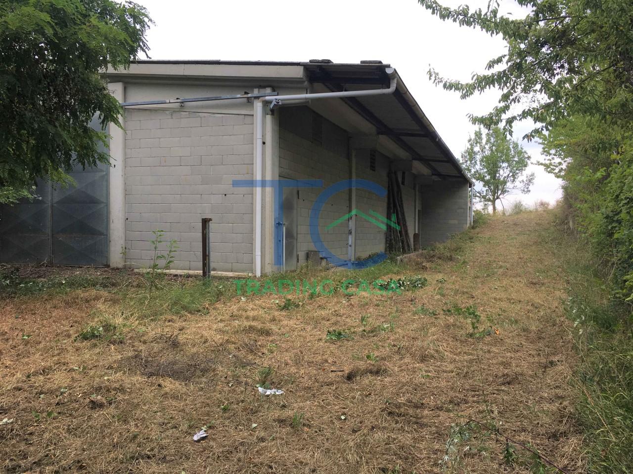 immagine annuncio 7 di 14