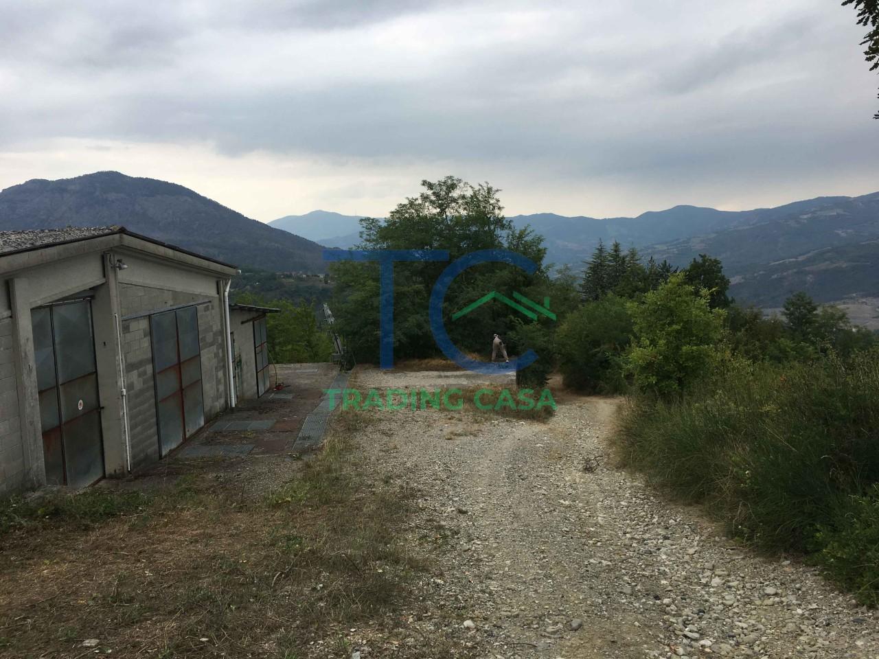 immagine annuncio 10 di 14