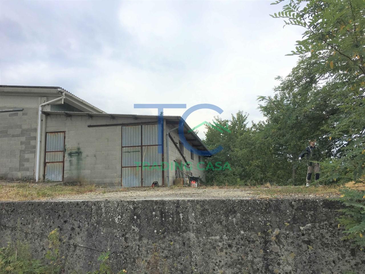 immagine annuncio 12 di 14