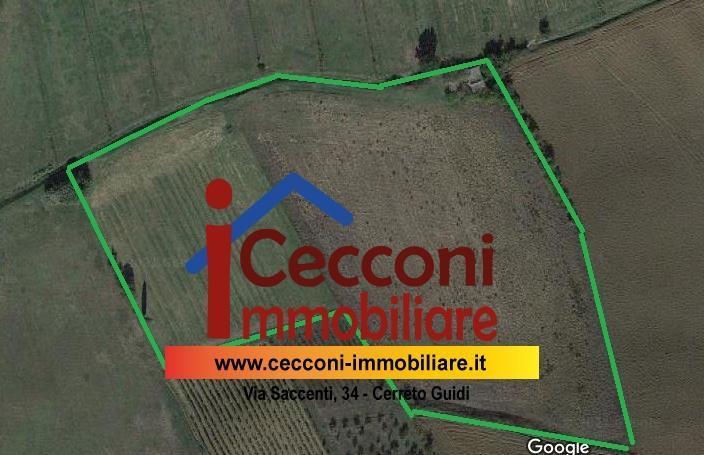 Terreno agricolo in vendita a Vinci