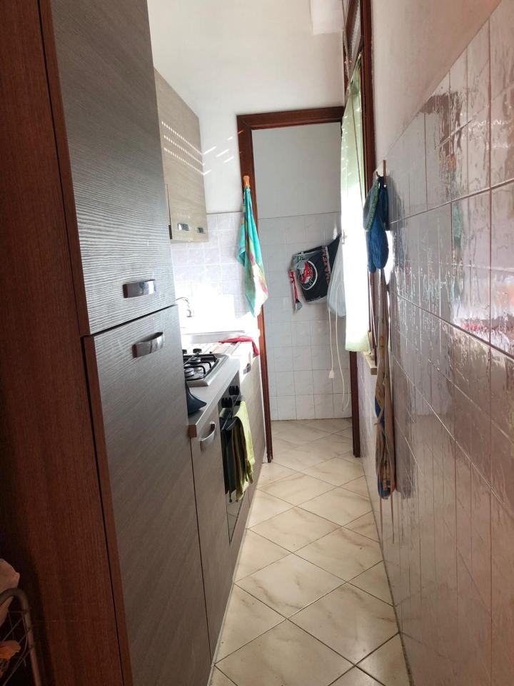 immagine annuncio 2 di 12