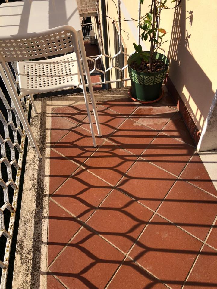 immagine annuncio 6 di 12