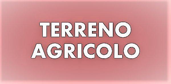 Terreno agricolo, Massa - Foto 1