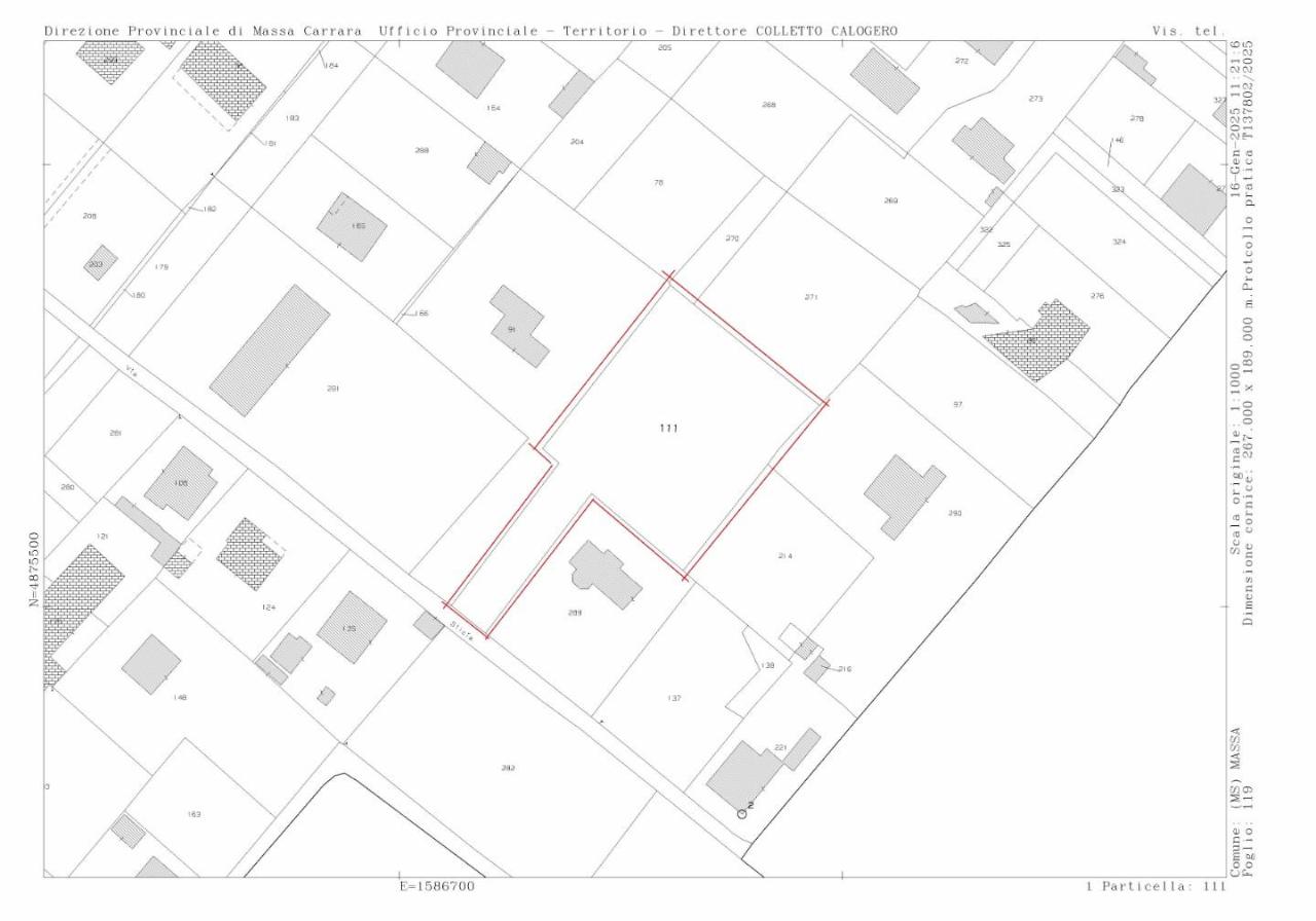 immagine annuncio 2 di 3