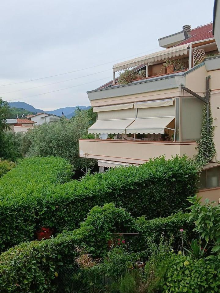 immagine annuncio 3 di 6