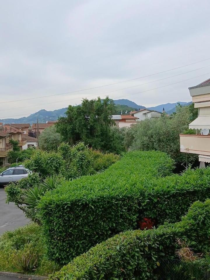 immagine annuncio 2 di 6