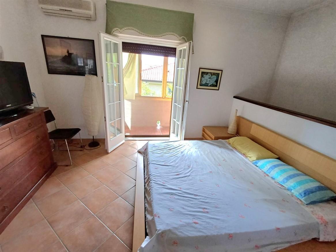 immagine annuncio 9 di 14