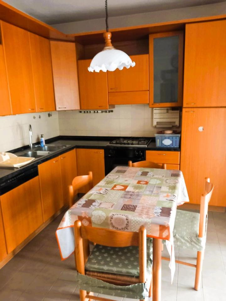 immagine annuncio 4 di 14