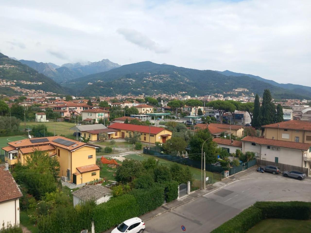 immagine annuncio 11 di 14