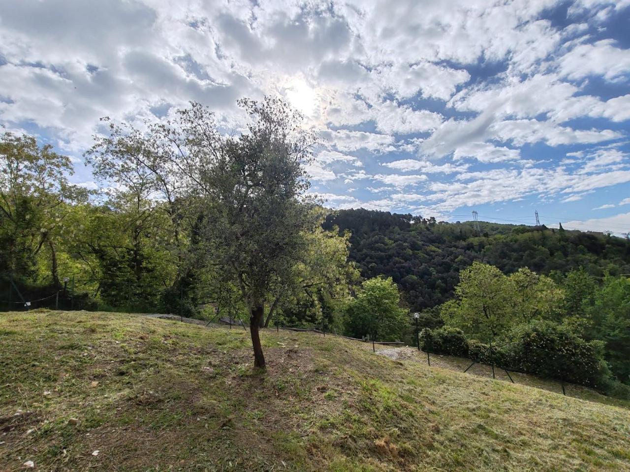 immagine annuncio 11 di 13
