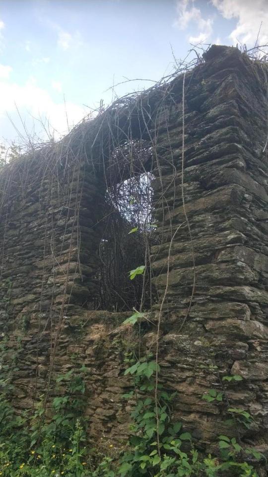 immagine annuncio 4 di 6