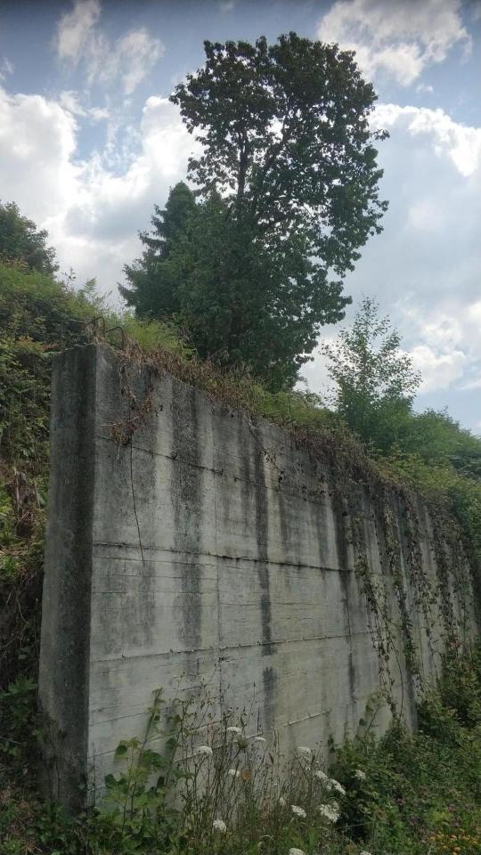 immagine annuncio 3 di 6