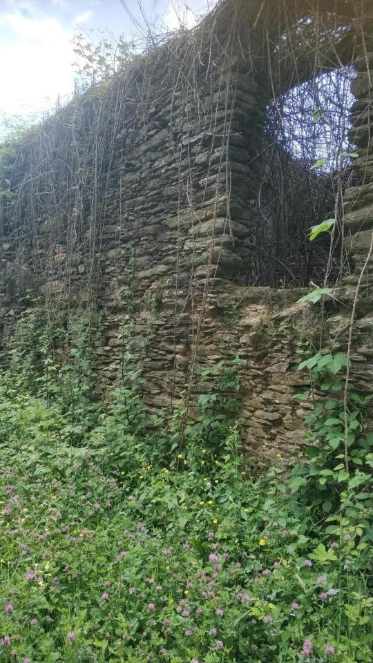 immagine annuncio 5 di 6