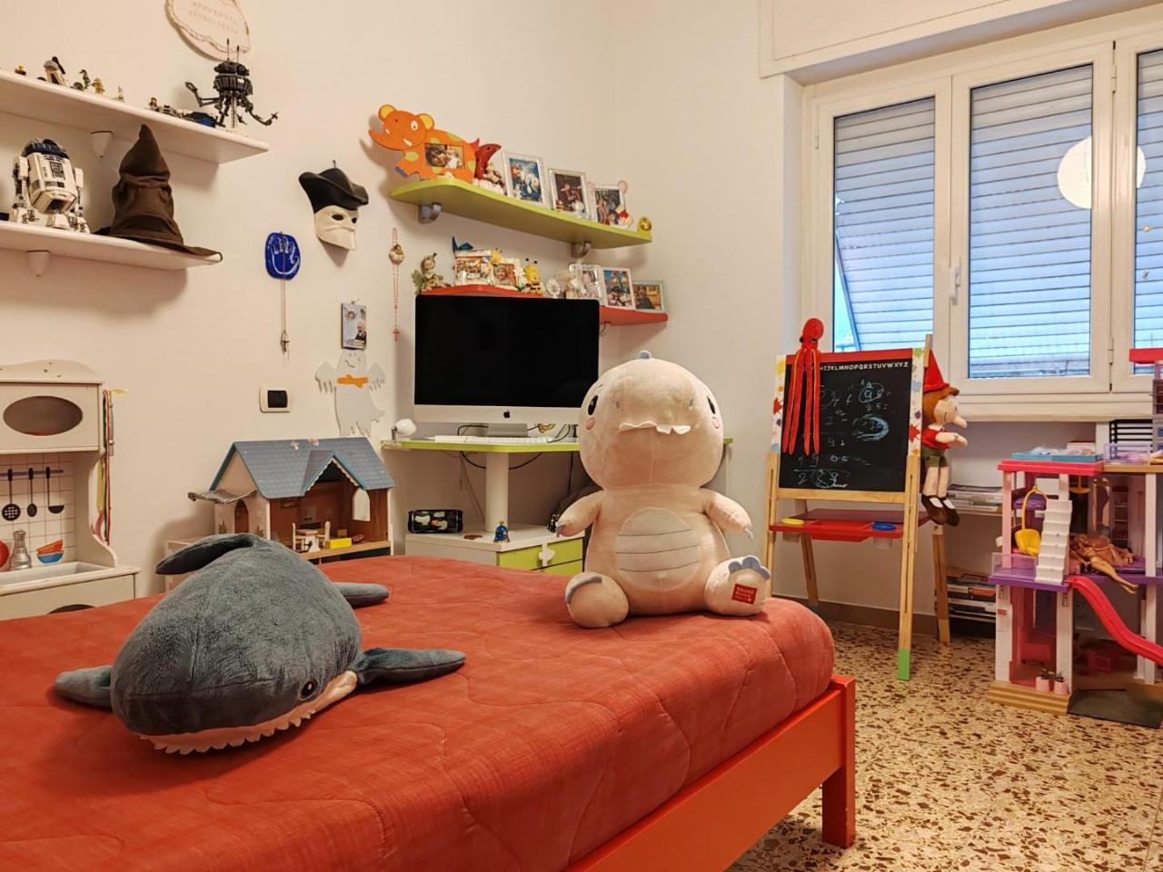immagine annuncio 7 di 14