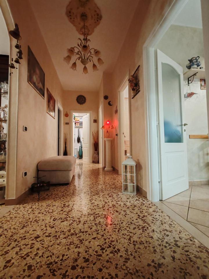 immagine annuncio 12 di 14