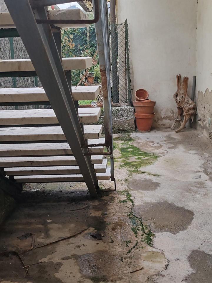 immagine annuncio 2 di 9