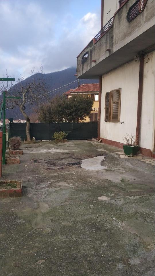 immagine annuncio 2 di 12