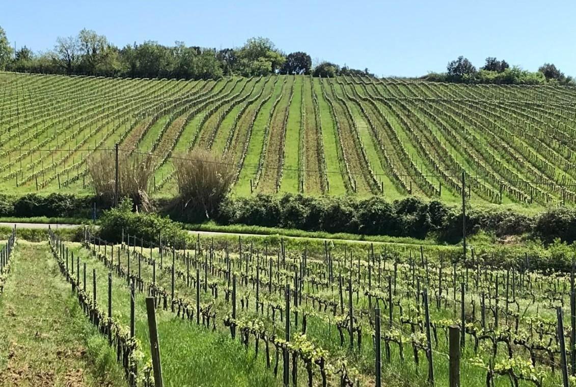 villa in vendita a Casciana Terme Lari in zona Casciana Terme