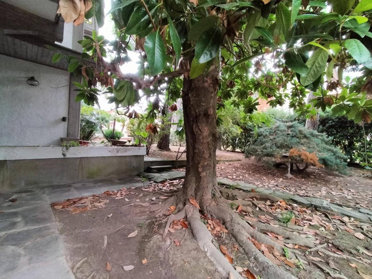 immagine annuncio 10 di 12