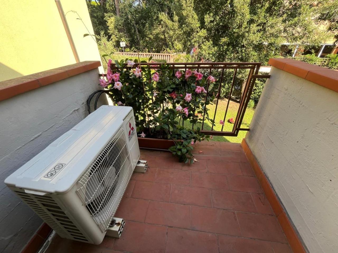 immagine annuncio 12 di 14