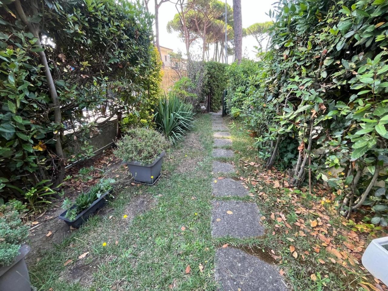 immagine annuncio 13 di 14