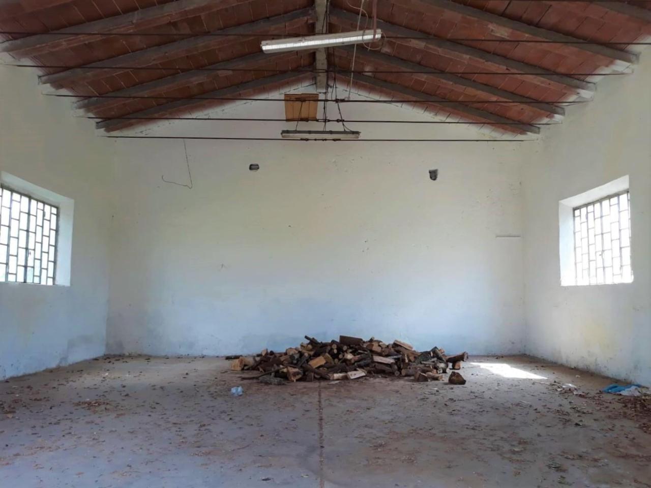 Capannone in , Cascina, {3} - Foto 1