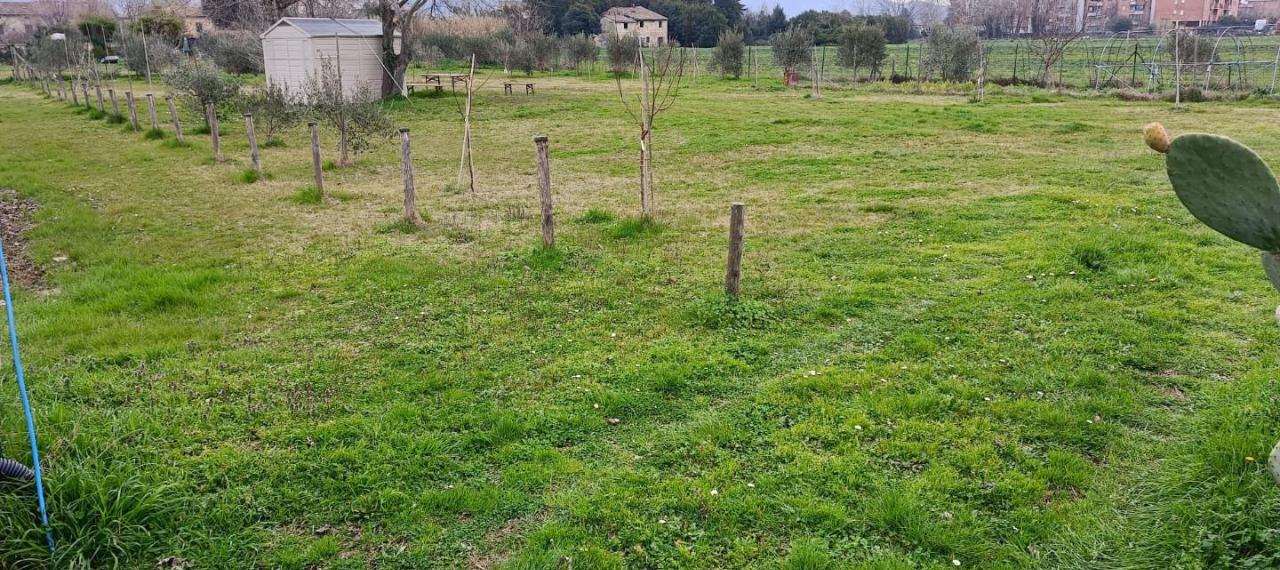 immagine annuncio 3 di 13