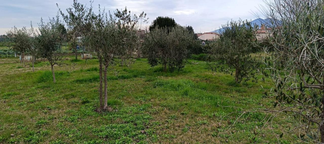 immagine annuncio 7 di 13