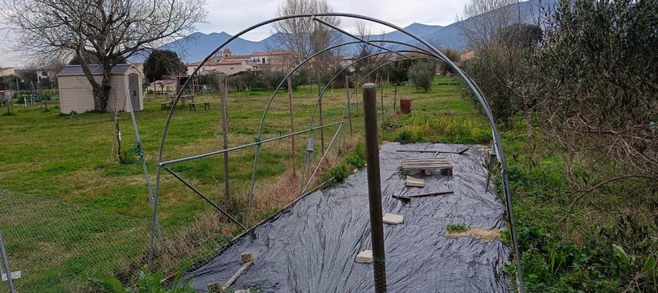 immagine annuncio 10 di 13