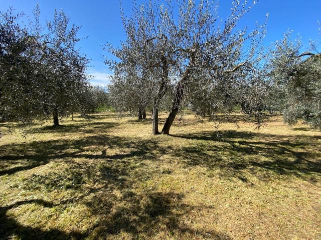 Terratetto, Montelupo Fiorentino - Foto 1