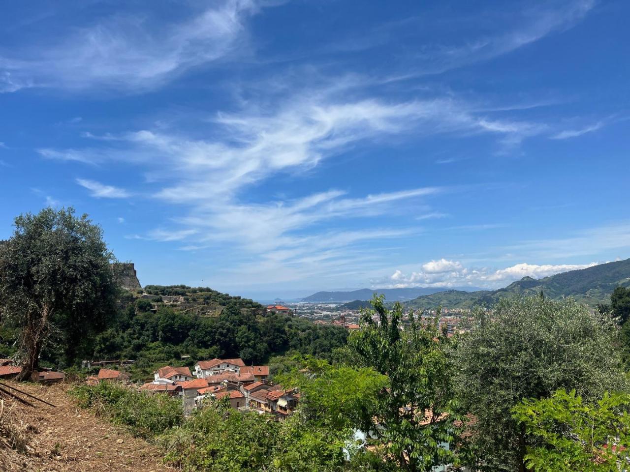immagine annuncio 5 di 7