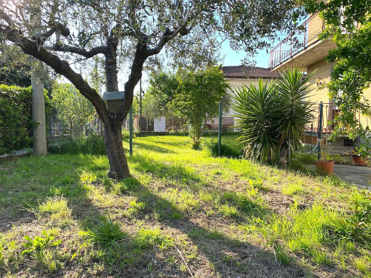 casa indipendente in vendita a Massa in zona Mirteto