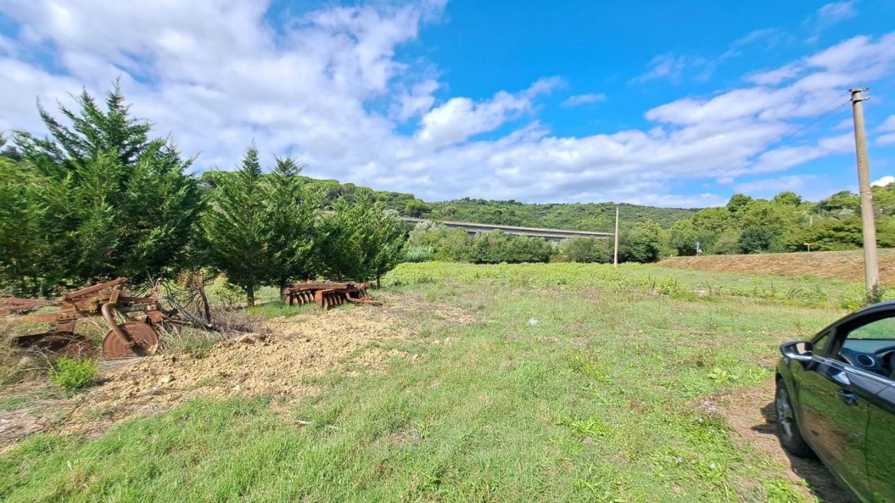 immagine annuncio 5 di 6