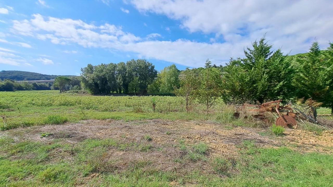 immagine annuncio 4 di 6