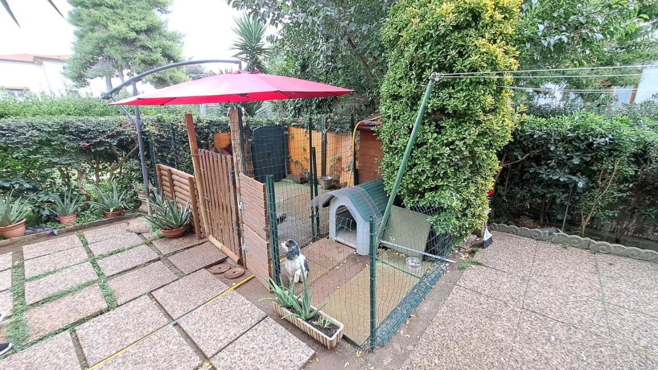 immagine annuncio 11 di 15