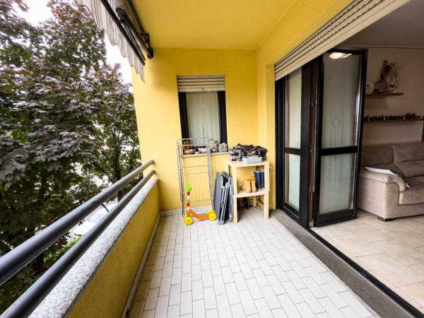 immagine annuncio 12 di 15