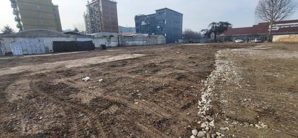 immagine annuncio 5 di 7