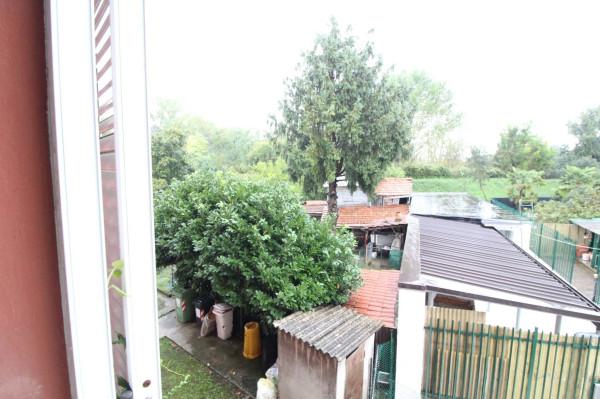 immagine annuncio 11 di 14