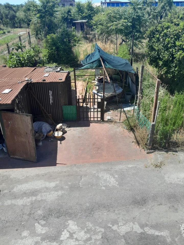 immagine annuncio 8 di 11