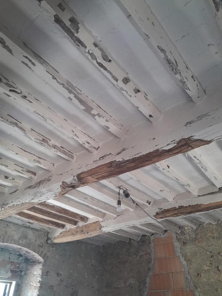 immagine annuncio 6 di 11