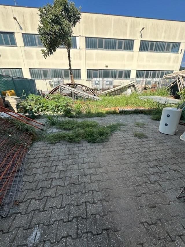 Capannone in , Massa, {3} - Foto 1