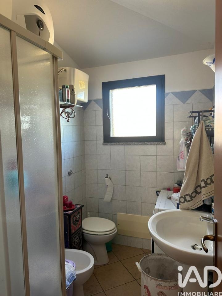 immagine annuncio 11 di 14