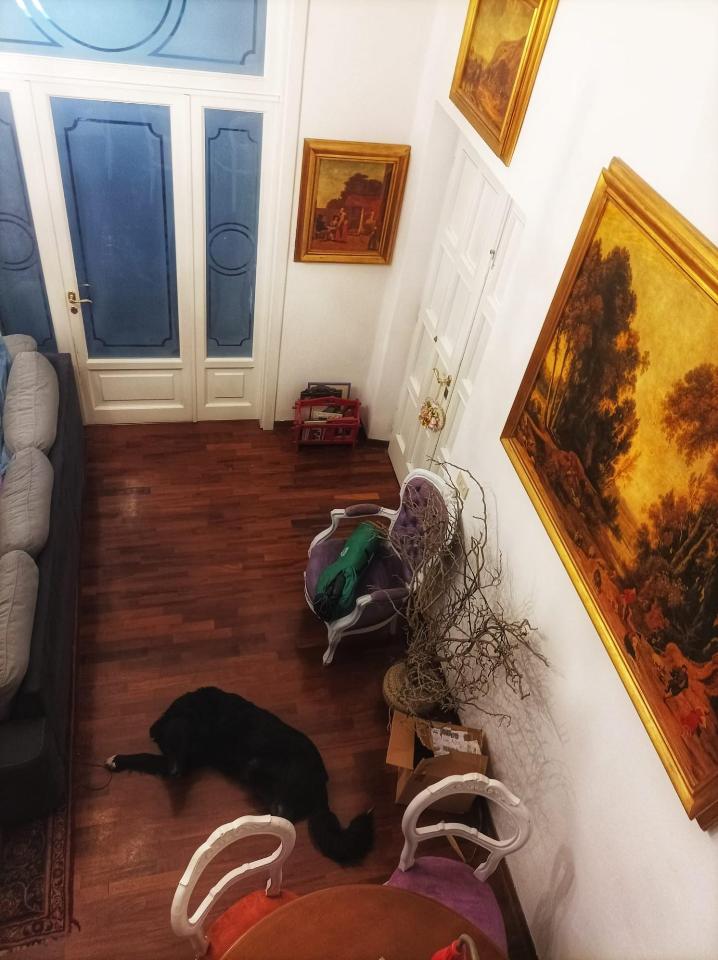 immagine annuncio 4 di 15