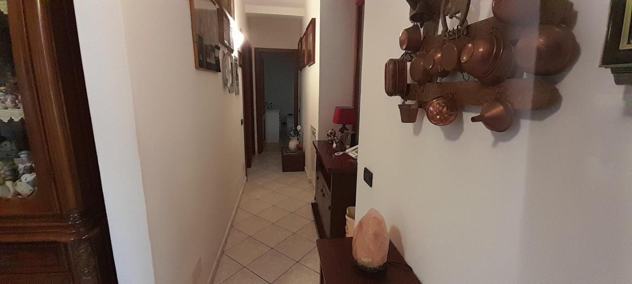 immagine annuncio 3 di 14