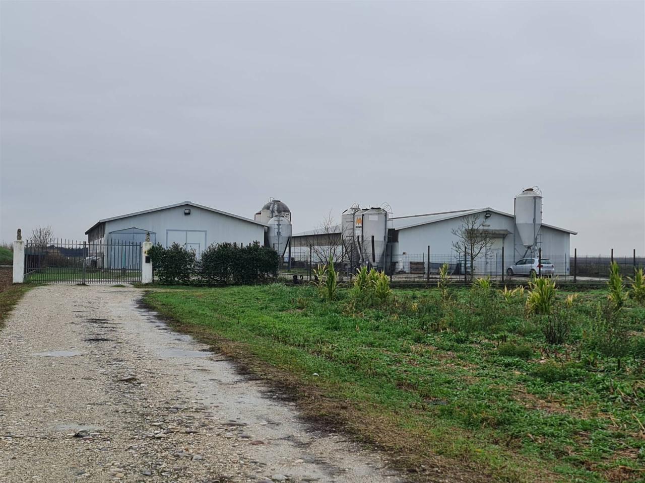 Azienda agricola in , Mozzecane, {3} - Foto 2