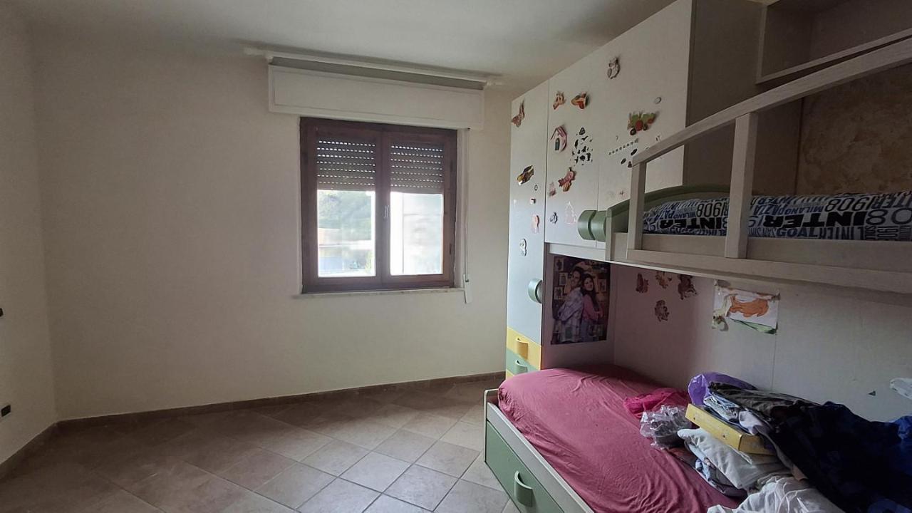 immagine annuncio 10 di 14